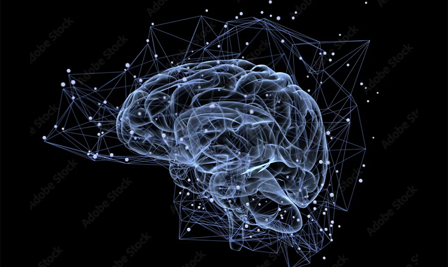 Brain image illustration