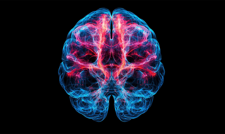 brain illlustration