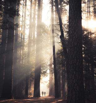 How Awe Slows Time And Supports Well-Being