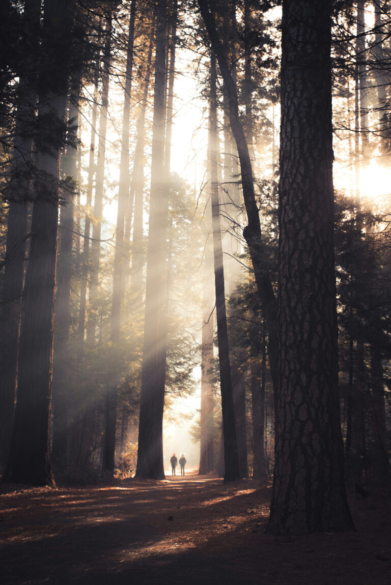How Awe Slows Time And Supports Well-Being