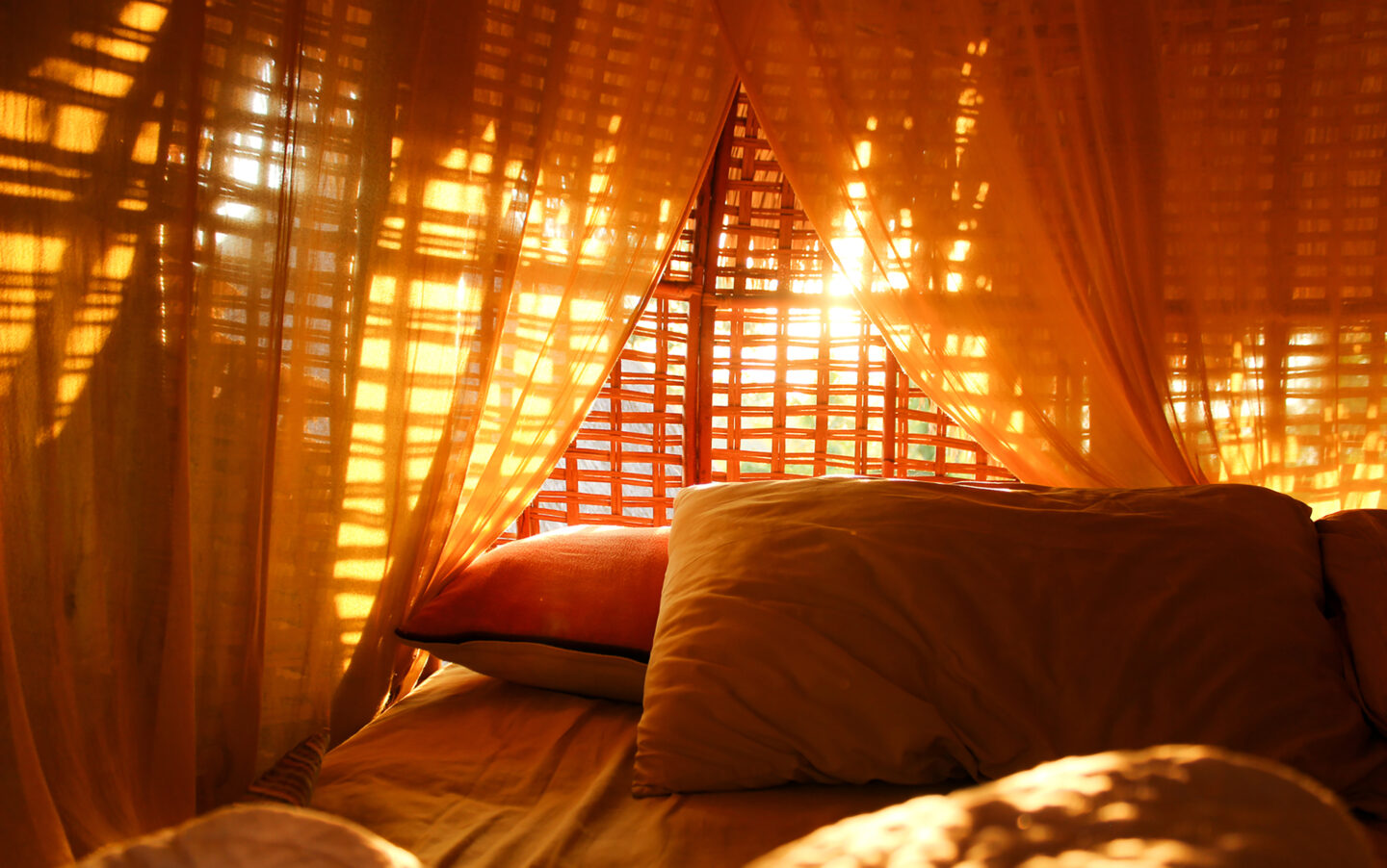 light in the window