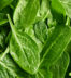 Spinach Salad Recipe