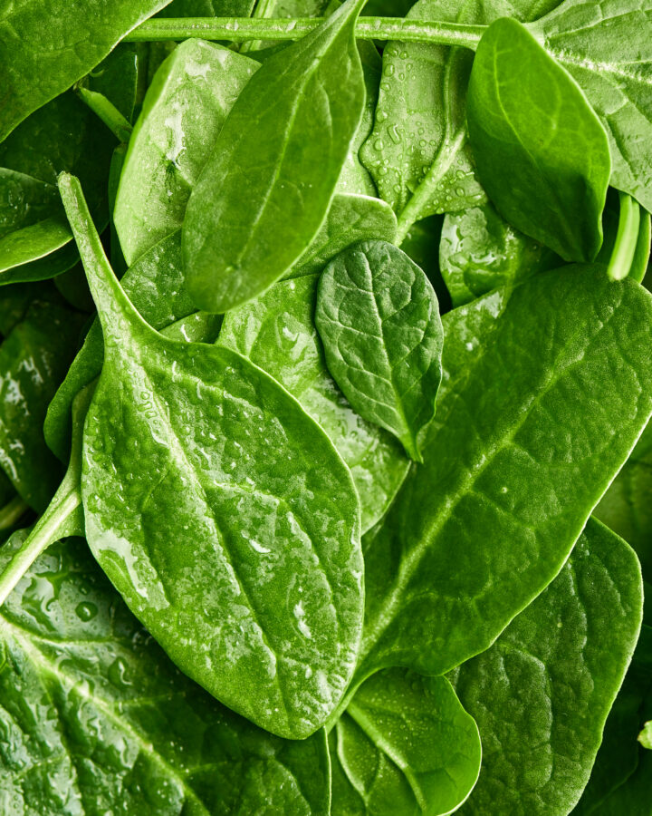 Spinach Salad Recipe