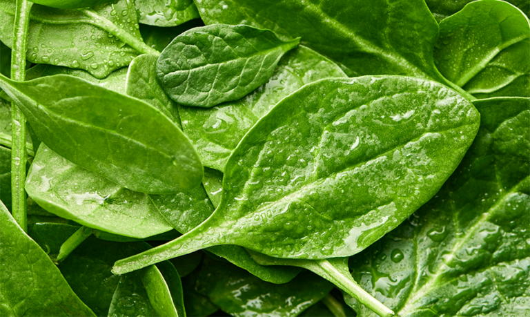 Spinach leaves