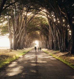 Japanese Walking Method that Reverses Biological Aging