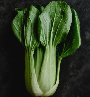 Sleep-Friendly Nutrients