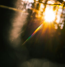How to Rewire Your Brain For Optimism
