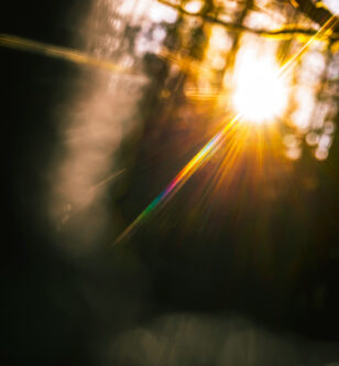 How to Rewire Your Brain For Optimism