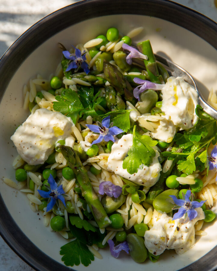 Why Dietary Richness Is Linked to Longevity