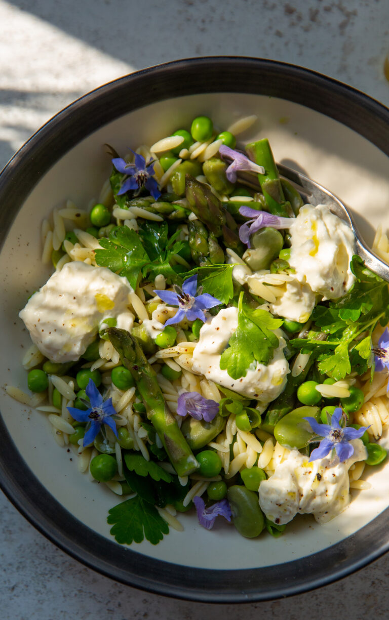 Why Dietary Richness Is Linked to Longevity