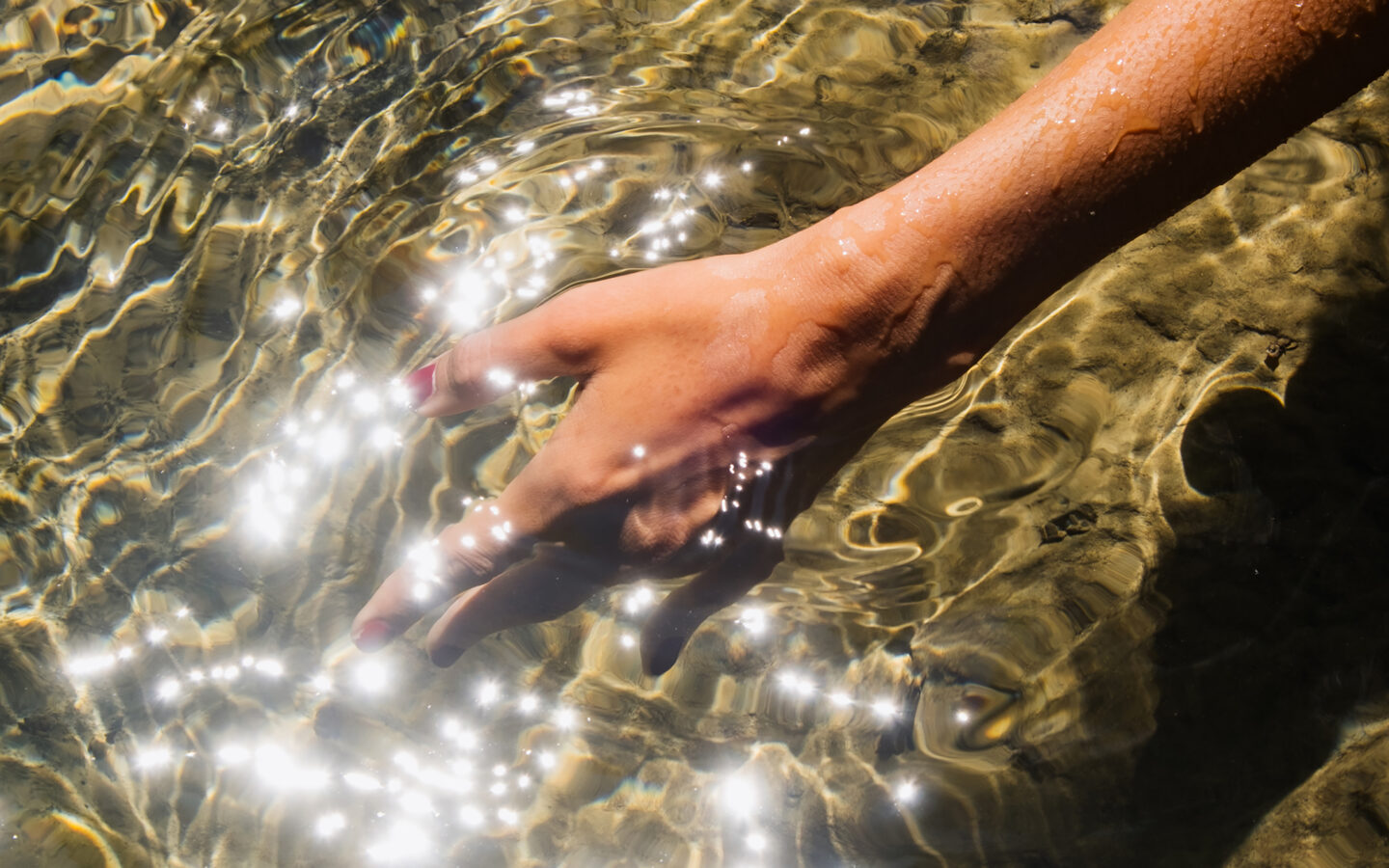 The Science of How Gratitude Affects the Heart