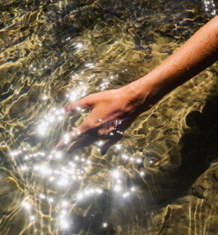 The Science of How Gratitude Affects the Heart