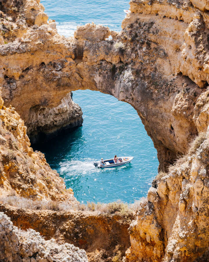 The Longevity Portfolio: How High Achievers Are Investing in a 100-Year Life