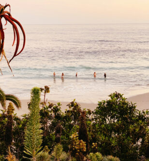 Scientists Just Discovered Why Some Brains Stay Decades Younger