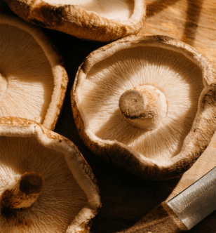 The Power of Copper to Sharpen Your Brain, If You Get the Right Amount