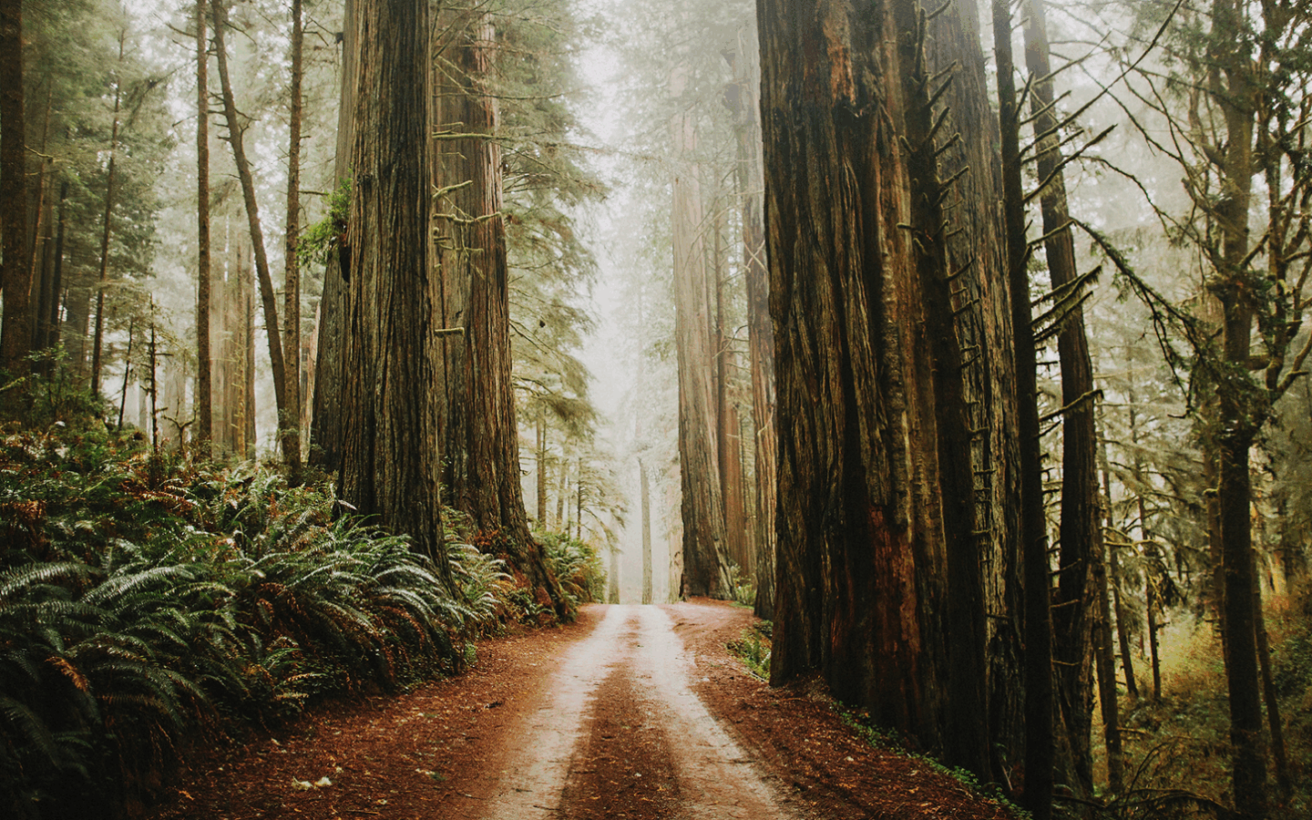 Virtual Nature, Real Relief: How VR Is Redefining Chronic Pain Treatment