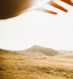 How to Calm Stress and Slow Aging: 5 Mindfulness Practices That Work