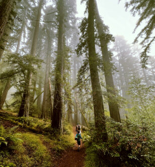 15 Minutes of Walking (at This Walking Pace) Adds Years to Your Life