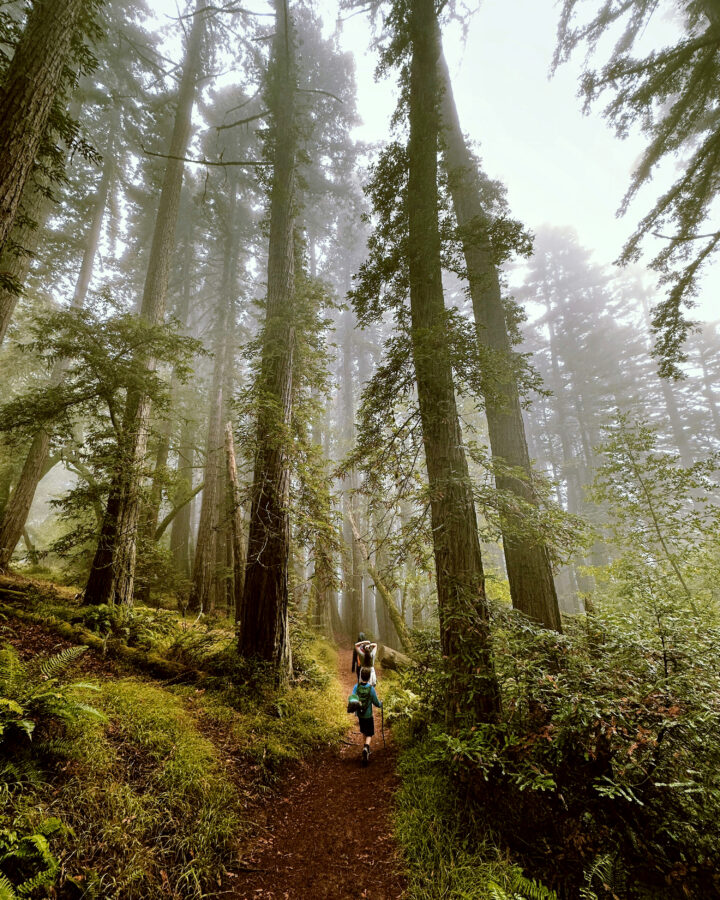 15 Minutes of Walking (at This Walking Pace) Adds Years to Your Life