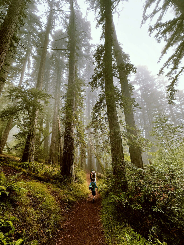 15 Minutes of Walking (at This Walking Pace) Adds Years to Your Life