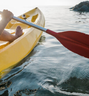 Life can be unpredictable.