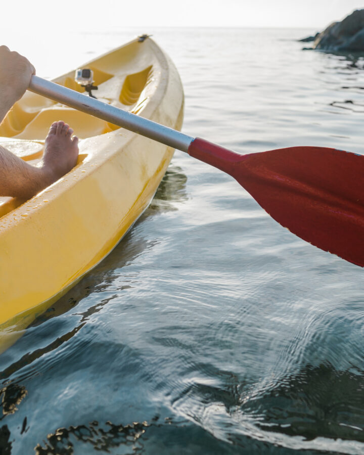 Life can be unpredictable.