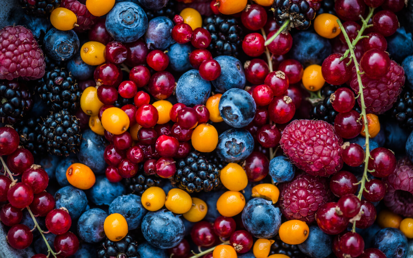 Berries play a helpful role in the Nordic diet by supplying fiber and antioxidants.