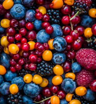 Berries play a helpful role in the Nordic diet by supplying fiber and antioxidants.